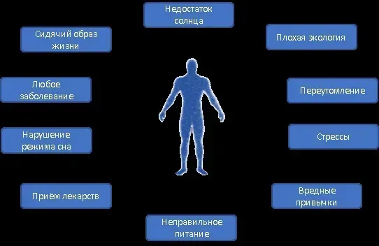 Liv caps : sastav samo prirodni sastojci.